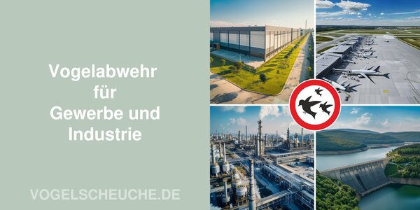 Vogelabwehr Gewerbe Vogelabwehr Gewerbe
